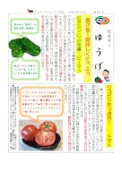 ゆうげ２６９号