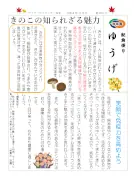 ゆうげ２７３号